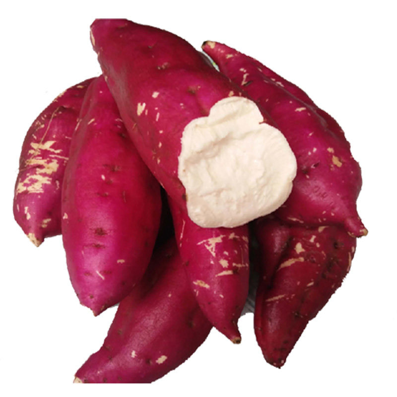 5斤新鲜红薯地瓜白瓤山芋红芋番薯小香薯农家现挖红薯白心板栗薯