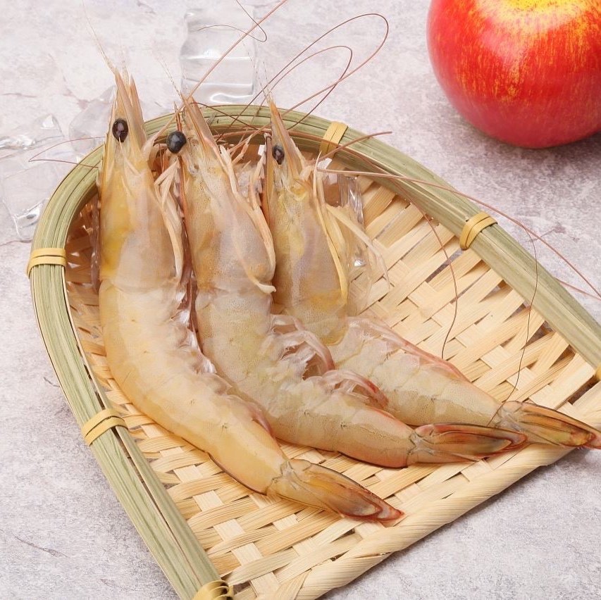 福建机敏大海新鲜白刺虾苗虾虾白深海黄机敏虾母冻虾