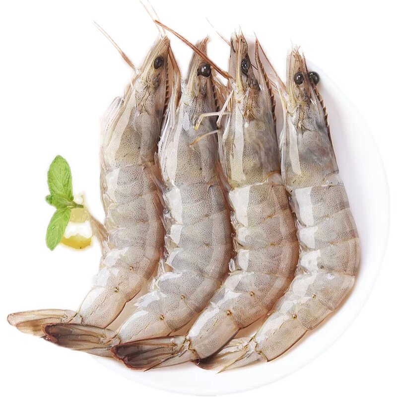 盐冻海新鲜大虾鲜活超大冷冻活虾鲜冻基围虾白冻虾