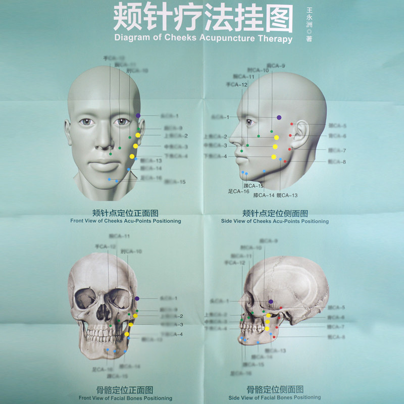正版2本 颊针疗法挂图 颊针疗法 颊针疗法系列图书 王永洲著 人民卫生