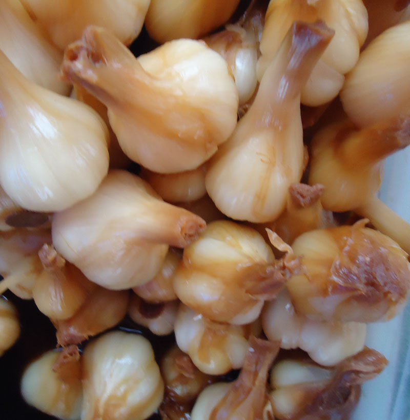 鸡西糖蒜500克一斤真空塑封东北农家特产手工腌制