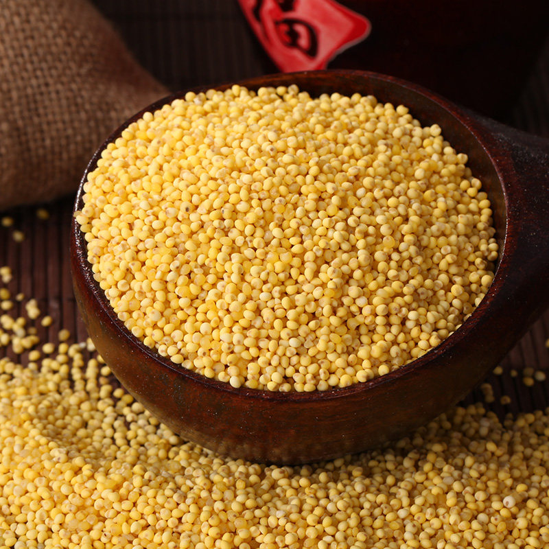 大黄米糯小米黏黄米黄糜子米软黄米黍250g其它粮食