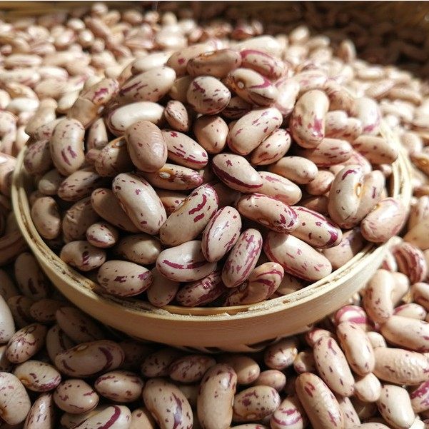奶花芸豆2021新花芸豆5斤东北奶白花芸豆农家肥花腰豆大饭豆