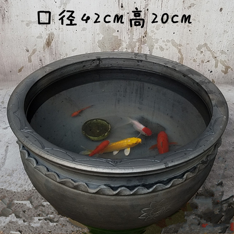 古法养鱼老泥瓦荷花盆碗莲睡莲风水仙乌龟庭院家用锦鲤土陶瓷缸