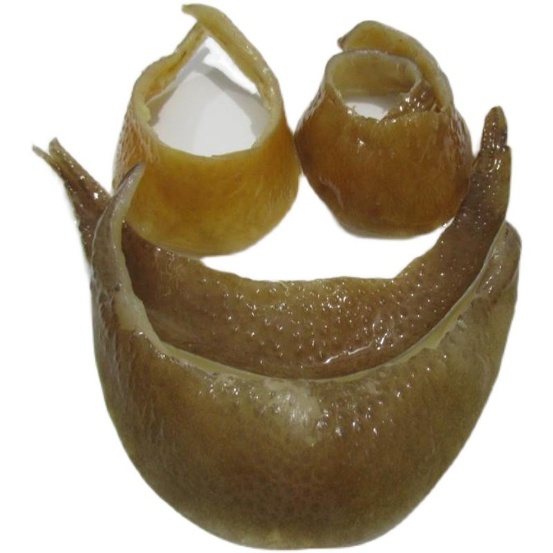 甲鱼裙边底板王八边肉食用水产煲汤焖炒肉香甲鱼