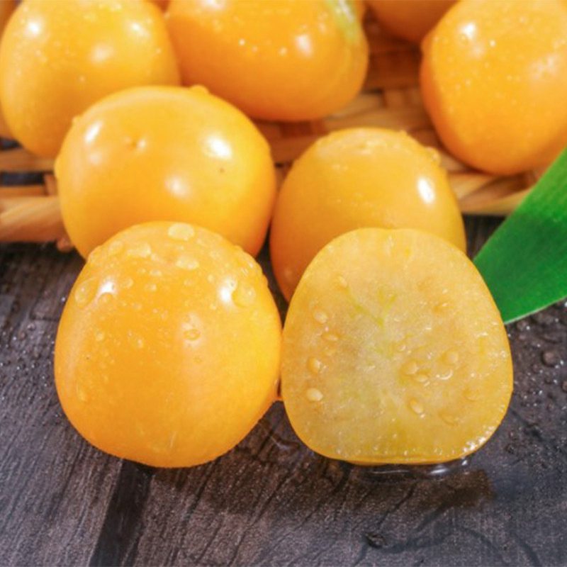 姑娘果现洋菇金姑娘灯笼果摘大东北1斤香味果奶其它