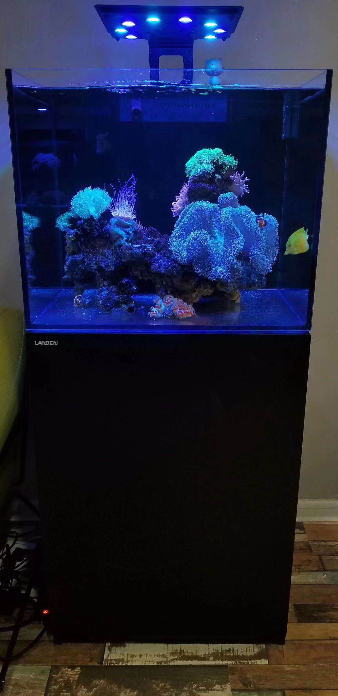 金典landen蓝甸系列海水鱼缸珊瑚水族箱海简约套缸桌面缸