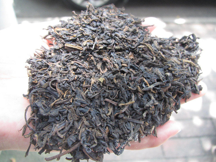 2013年梧州六堡茶轻发酵一级茶底干仓六堡茶