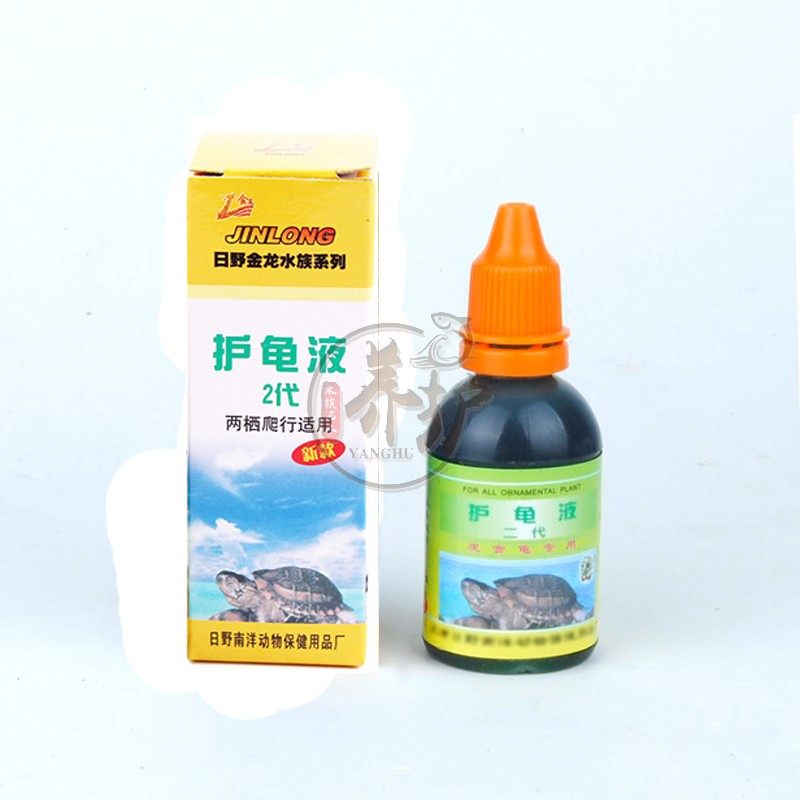 护龟第二日野乌龟防止腐皮肿眼预防常见疾病龟