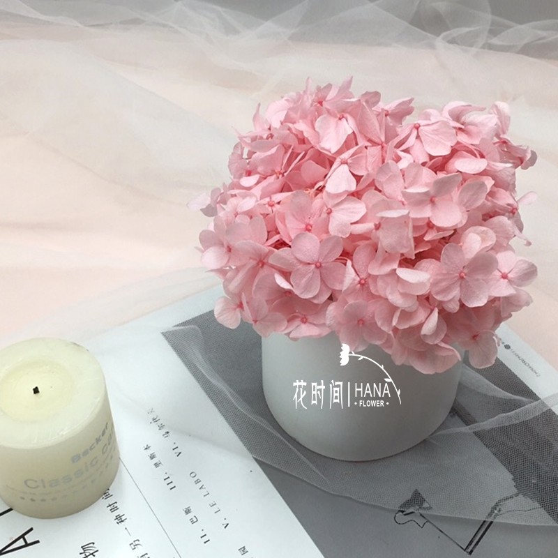 永生diy日本florever进口小叶绣球粉色插花干花永生花