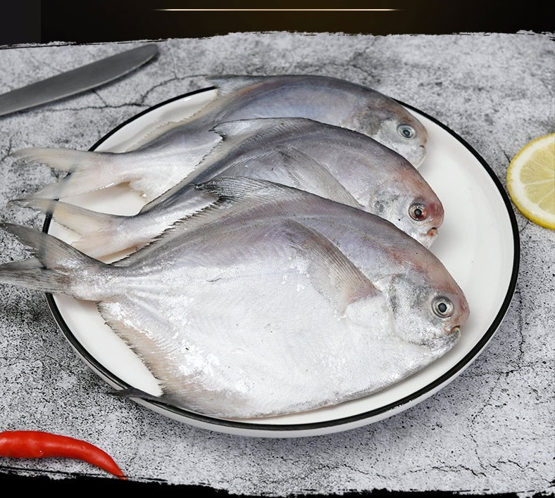 鲳鱼小号新鲜平鱼海捕白鲜活水产速冻45条3斤装鲳鱼