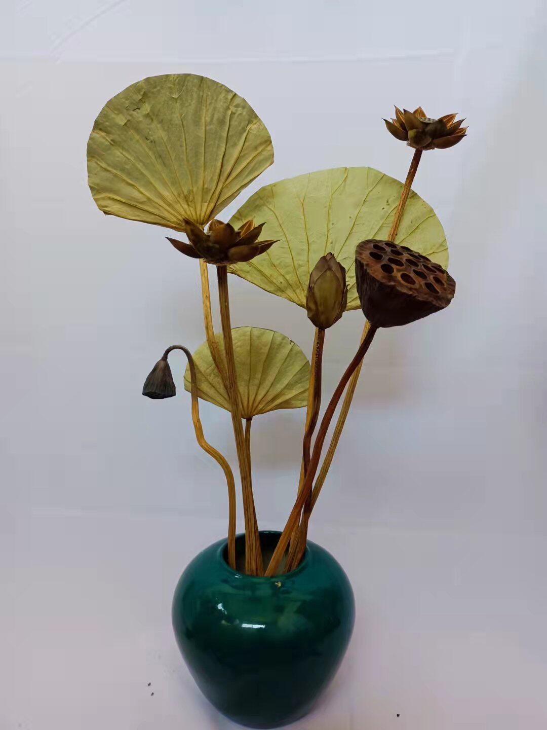 干花花束真花装饰摆件荷花风干莲蓬天然莲杆干花