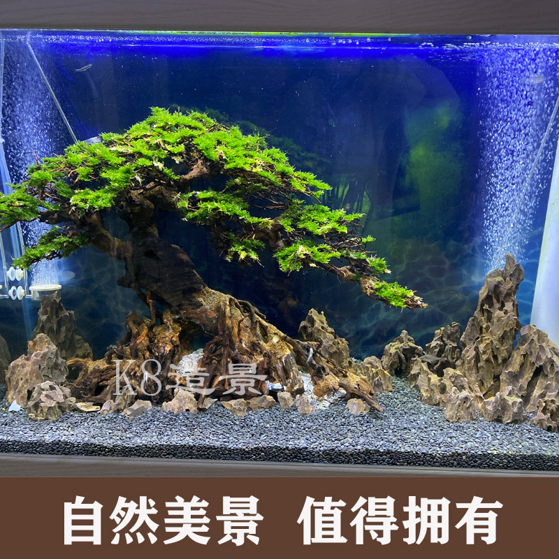 包邮新品鱼缸造景树形沉木巴西迎客松定制景观造景