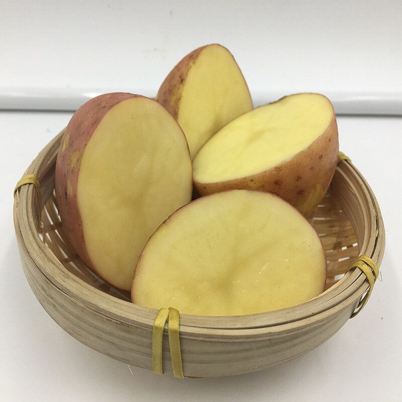 助农扶贫云南紫皮土豆10斤新鲜黄心非转基因农家土豆