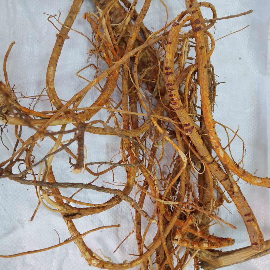 树根野生桑树白皮桑椹桑叶500克包邮其他药食同源食品