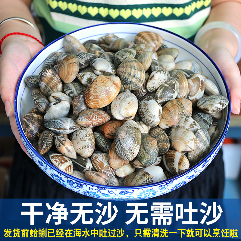 鲜活蛤蜊新鲜青岛花蛤蜊海鲜红花甲贝壳海鲜其它