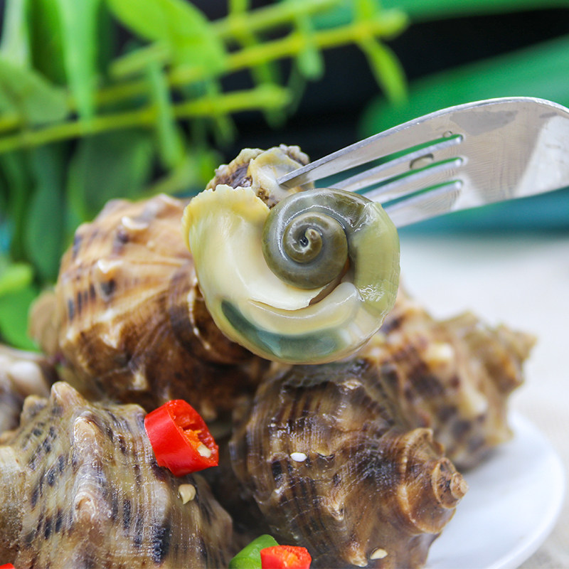 鲜活小海螺新鲜海青岛特产海鲜水产螺鲜生猛贝类其它