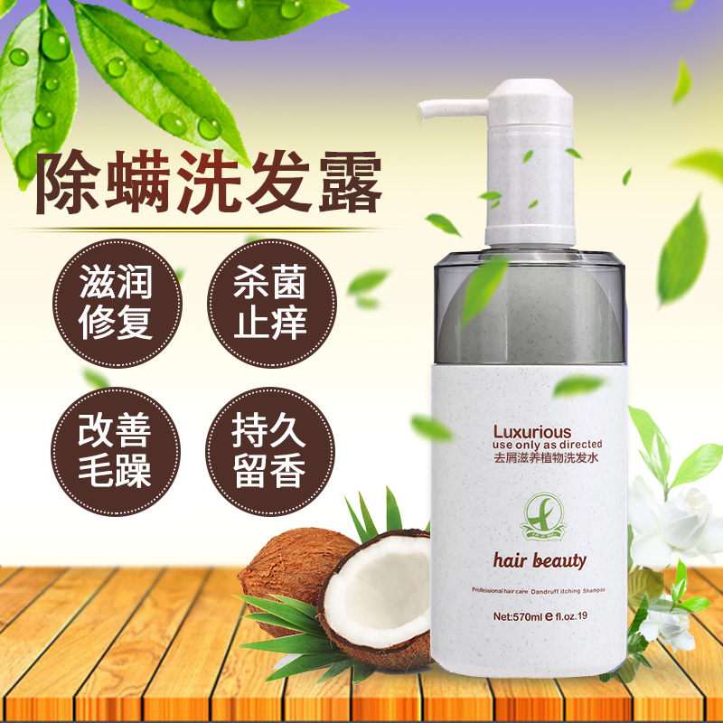 迷迭香除螨止痒洗发水牛蒡根去屑改善毛躁柔顺持久留香杀菌无硅油 - 图0