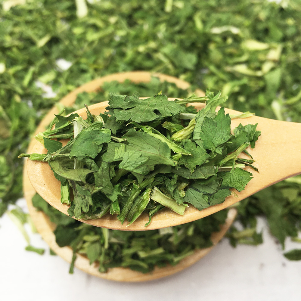 香菜脱水蔬菜500g实惠当季干净粒芫荽干莚荽脱水蔬菜