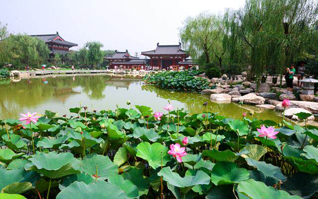 陕西 西安 西安旅游华清宫门票 含兵马俑景区景点套票 l
