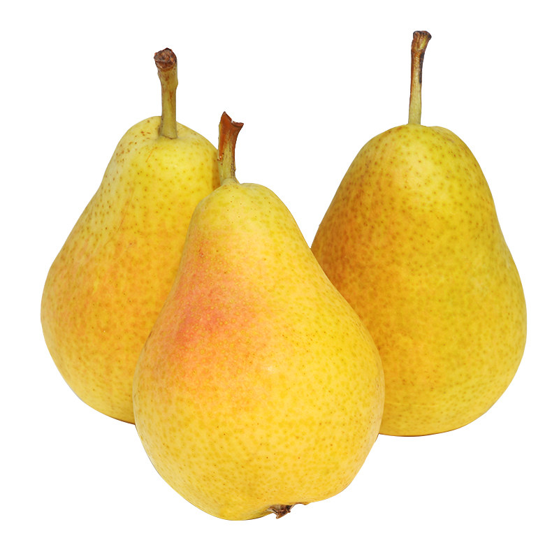 烟台太婆山东大头梨子葫芦当季水果软梨5斤梨