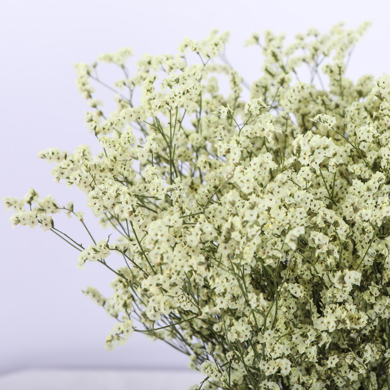 云南昆明黄水晶干花花束客厅用花婚庆装饰插花水晶花干花_双氙车灯