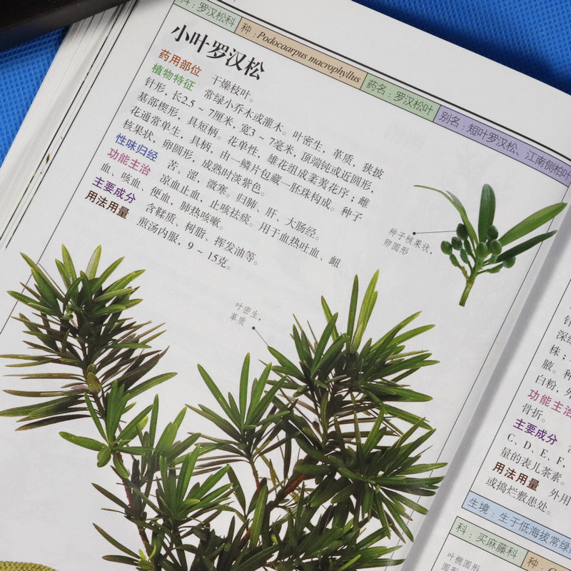 图鉴南方植物中草药3本珍藏图谱新编药学