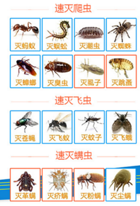 害虫一扫光臭虫蟑螂跳蚤虱家庭害虫一次灭净6袋包邮可用200平方米