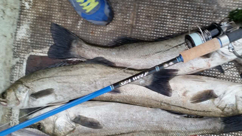 阿雷特海狼全富士浅海船竿海鲈竿岸钓超远投竿路亚竿全能直柄包邮