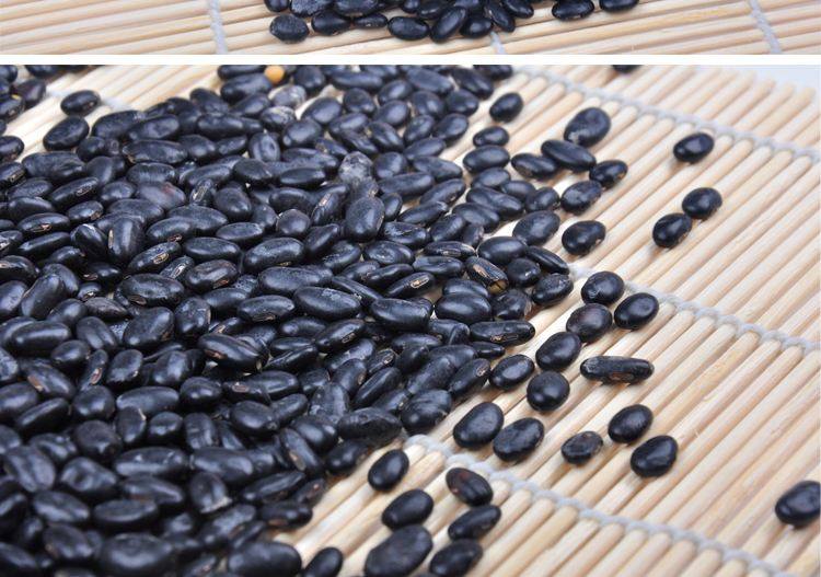 肾形黄芯小黑豆河南农家自产黑豆可药用笨黑豆黄心新黑豆5斤包邮