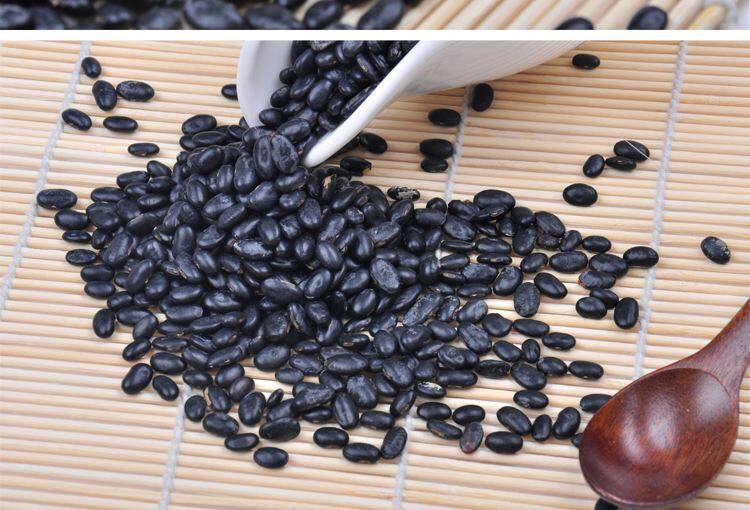 肾形黄芯小黑豆河南农家自产黑豆可药用笨黑豆黄心新黑豆5斤包邮