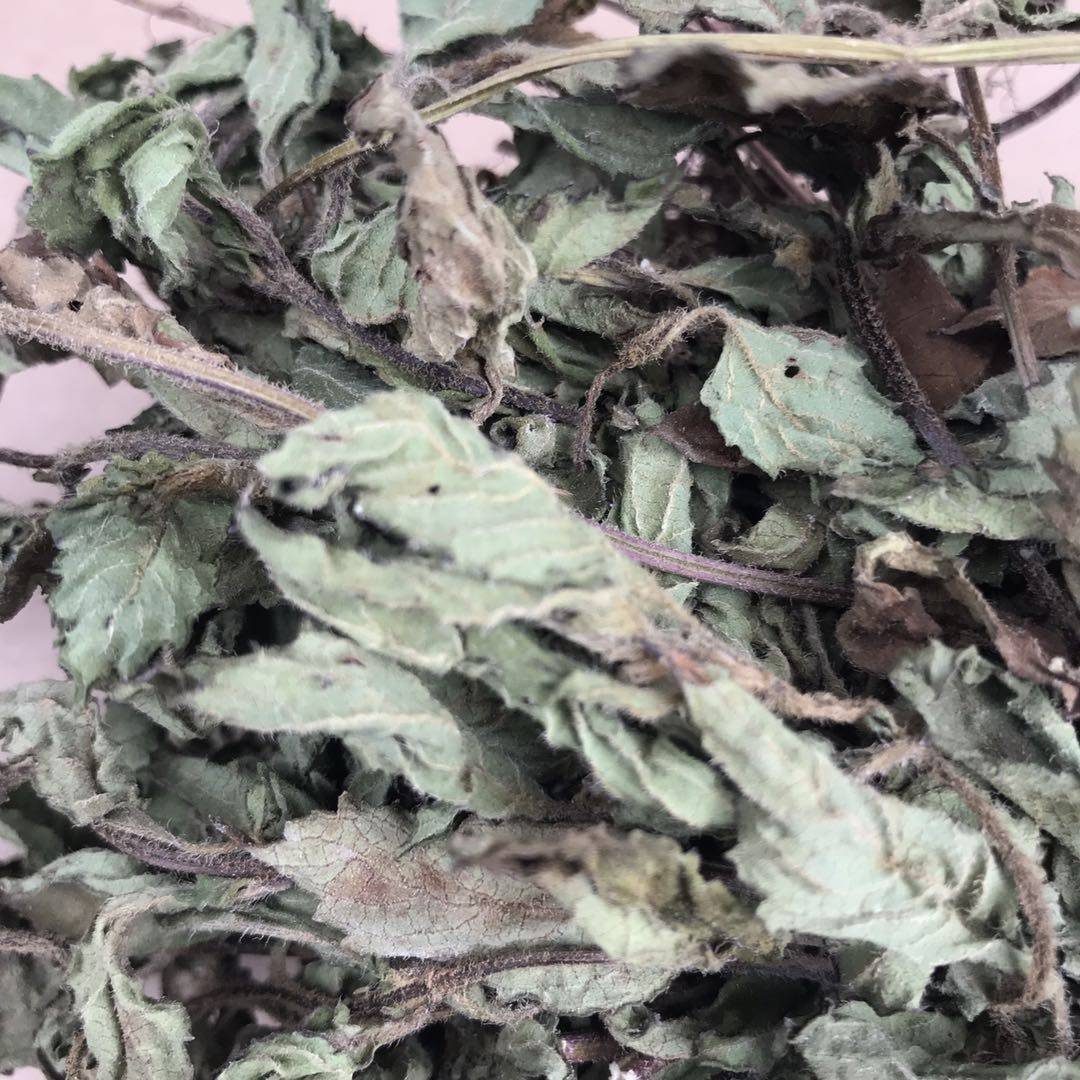 仙草新鲜草干野生原材料凉粉套餐仙人天然粉粉食品