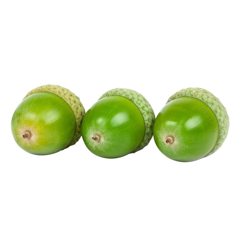 橡子橡树大橡木果橡实果饰饰品果帽挂饰道具干花