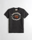 Hollister men's 2020 summer new short-sleeved t-shirt cotton short-sleeve shirt HCO seagull shirt tide Hollister men's 2020 summer new short-sleeved t-shirt cotton short-sleeve shirt HCO seagull shirt tide