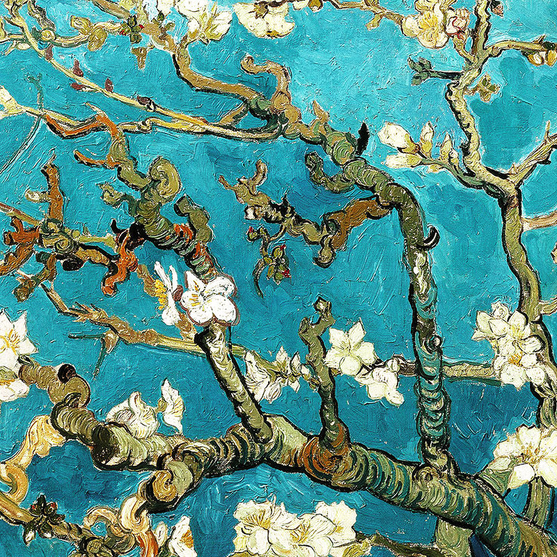 梵高杏花油画沙发背景墙装饰画客厅挂画欧式玄关现代装饰画