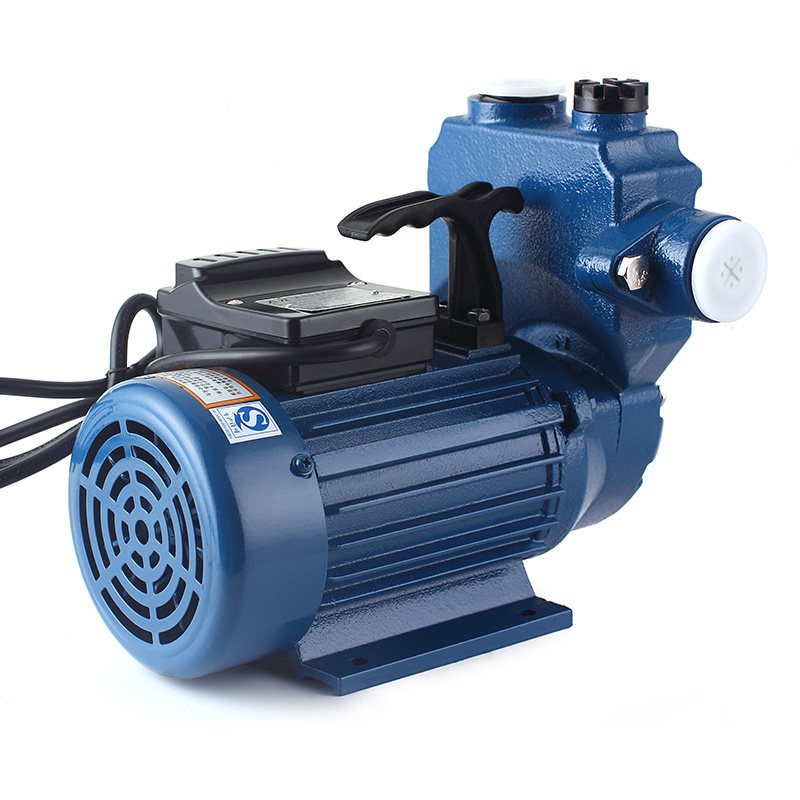大元单相电动循环高压电泵抽水清水增压家用水泵
