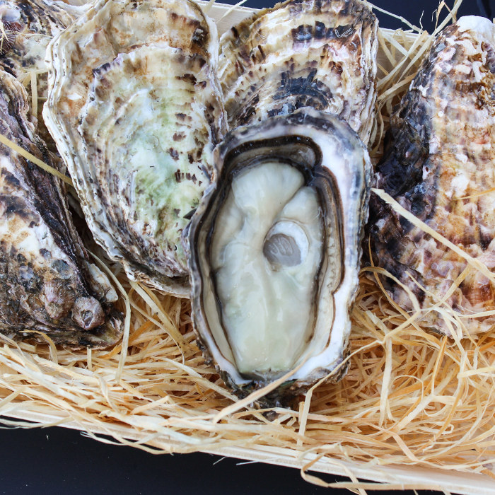 生蚝蚝门盛宴鲜活韩国珍国珍宝生6只150250g左右生蚝