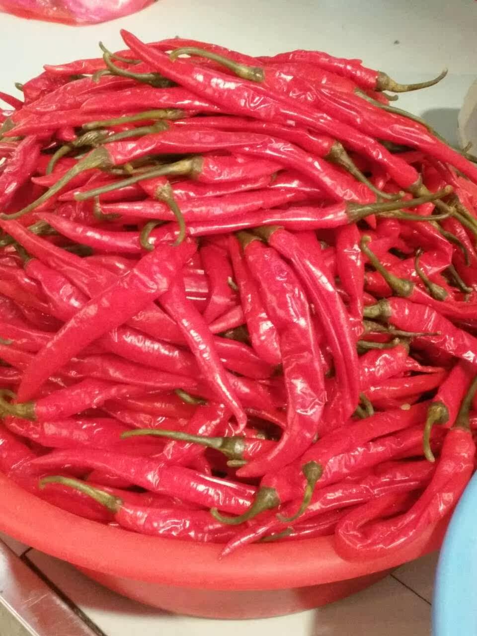 湖南湘西土特产酸辣辣子泡菜无添加辣椒红辣椒朝天脱水蔬菜