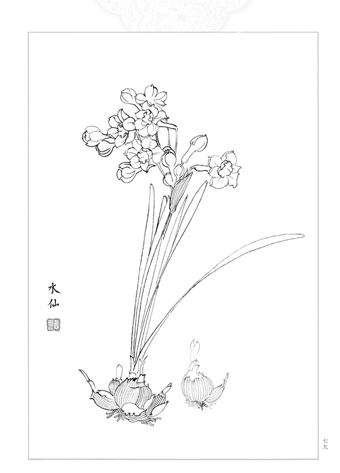 书籍白描工笔画工笔满庭芳技法新手教程绘画(新)