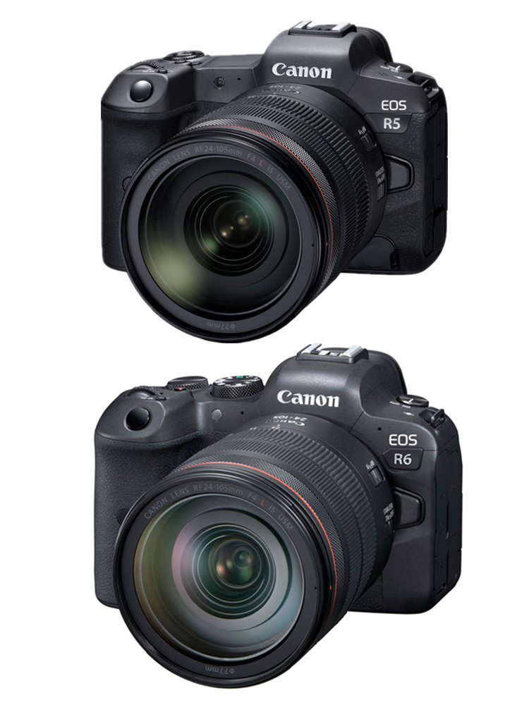 佳能eosr6画幅专业微单机身相机24105套机r5视频单电微单