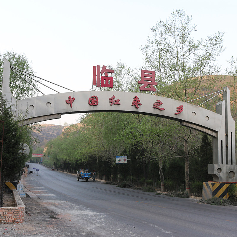 山西整箱煮粥粽子可包五斤红枣5斤临县干湿枣类制品