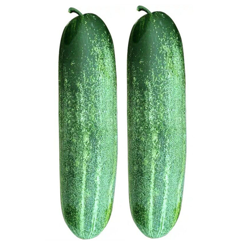 黄瓜翠绿吊瓜种子肉质细嫩好吃超甜水果种籽家庭园艺种子