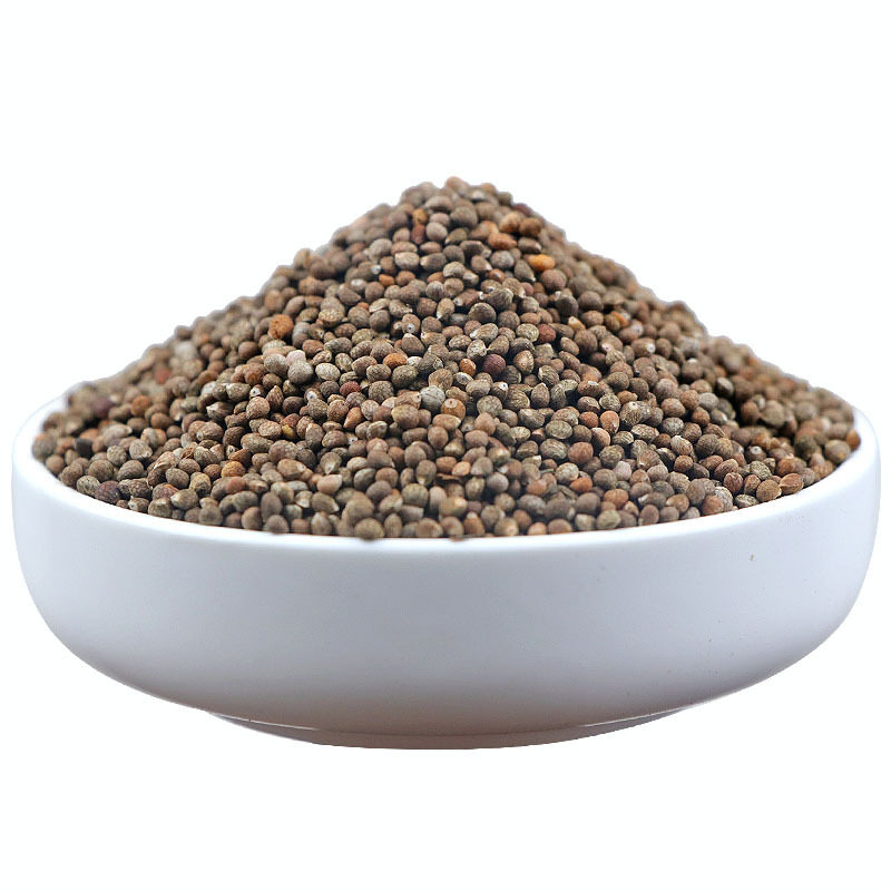 大货紫苏东北苏子生子生苏籽野苏籽苏食用500克包邮其他药食同源食品