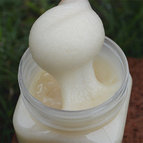 天然油菜蜜蜂场自产农家结晶原蜜盛然蜜园油菜花蜂蜜