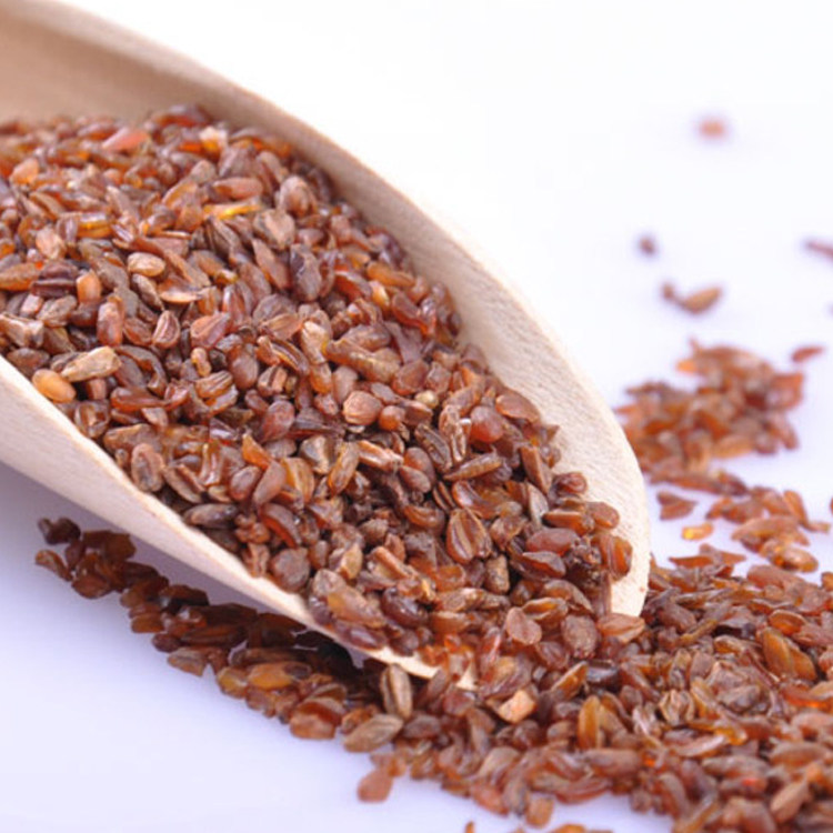 农家黑苦荞四川凉山苦荞茶燕麦米五谷买二送一同款250克