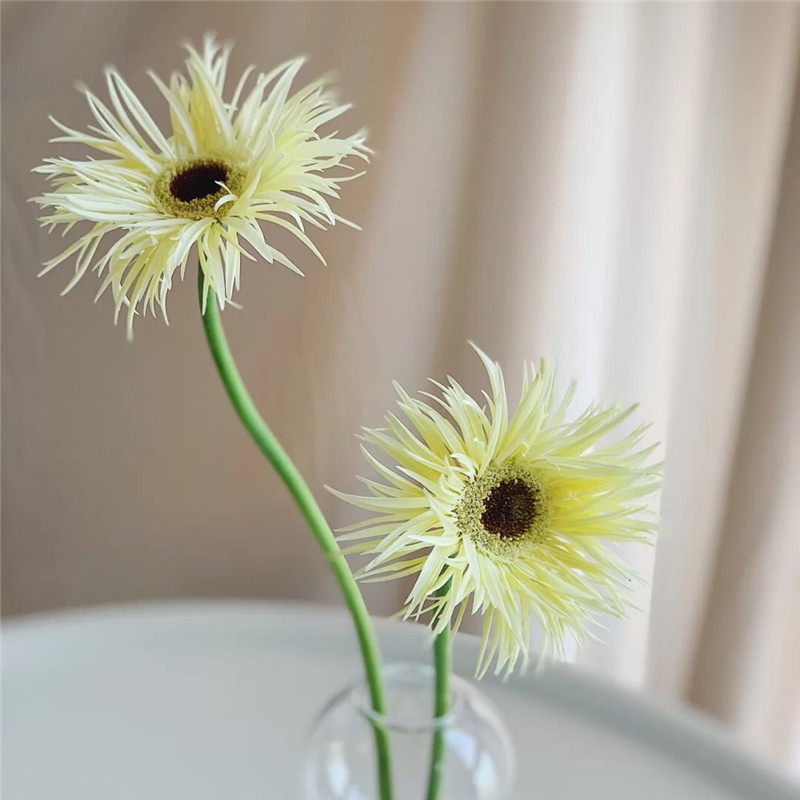 国产毛边拉丝弗朗鲜花上海发家用水养瓶插花鲜花速递同城