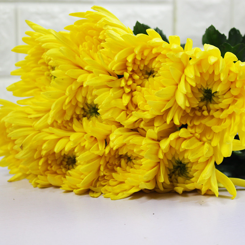 清明扫墓菊花祭奠用花丧葬哀悼鲜花黄白菊花上海同城顺丰两件包邮
