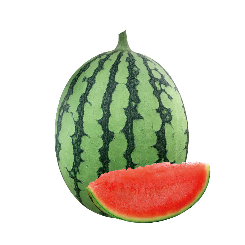 西瓜金美糖度盆栽春播高春播种子2k4k礼品小型家庭园艺种子