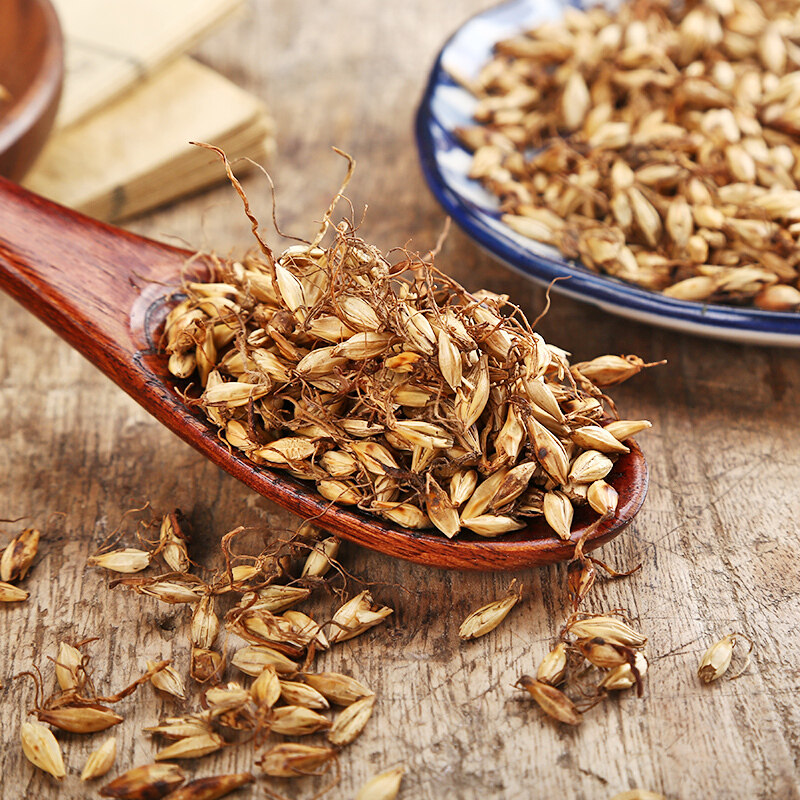 麦芽中药材500克包邮天然正品炒大回奶大麦断奶其他药食同源食品