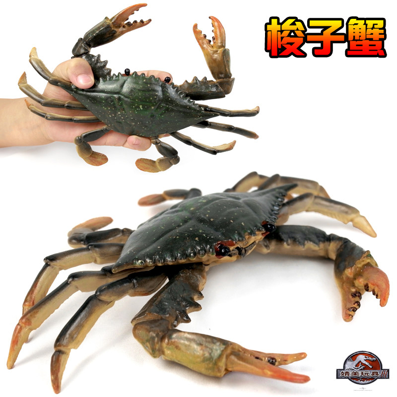 仿真海洋动物梭子模型玩具螃蟹龙虾海底实心仿真